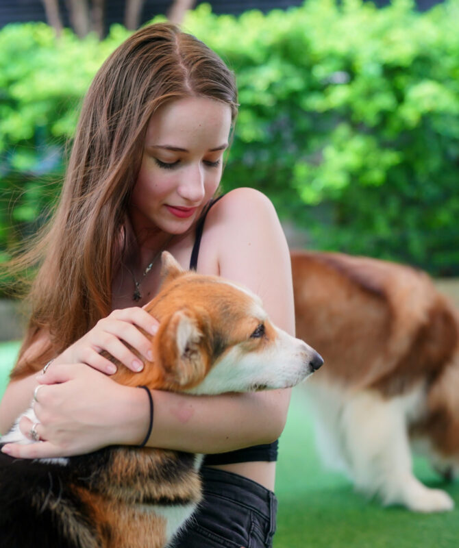 furry-friends-young-girl-with-dog-2023-11-27-05-28-43-utc