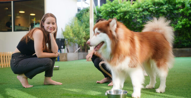 Young woman with her dog at modern house on nature light.