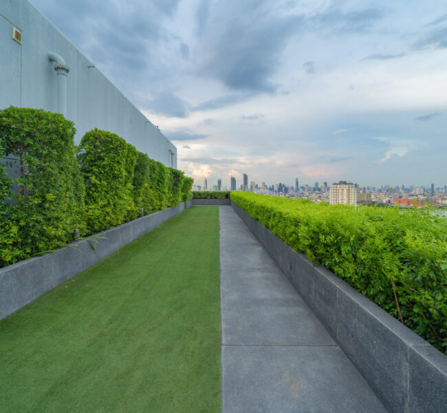 Sky garden on private rooftop of condominium or hotel, high rise architecture building with tree, grass field, and blue sky. Sky garden on private rooftop of condominium or hotel, high rise architecture building with tree, grass field, and blue sky.